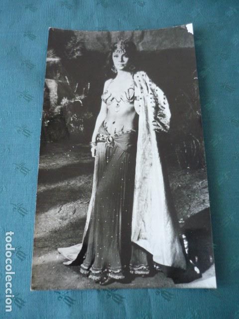 Alte Fotografie: GINA LOLLOBRIGIDA ACTRIZ ANTIGUA FOTOGRAFIA 10,50 X 18 CMTS