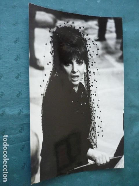 Fotografia antiga: GINA LOLLOBRIGIDA ACTRIZ ANTIGUA FOTOGRAFIA 28 X 18 CMTS