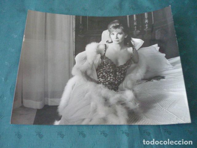 Fotografia antica: GINA LOLLOBRIGIDA ACTRIZ ANTIGUA FOTOGRAFIA 24 X 18 CMTS