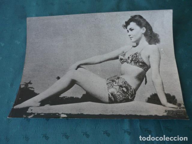 Fotografia antiga: GINA LOLLOBRIGIDA ACTRIZ ANTIGUA FOTOGRAFIA 24 X 18 CMTS