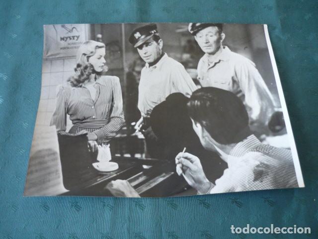 Photographie ancienne: LAUREN BACALL ACTRIZ ANTIGUA FOTOGRAFIA 24 X 18 CMTS