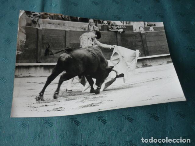 Alte Fotografie: NOGUERITO TORERO ANTIGUA FOTOGRAFIA 18 X 12 CMTS