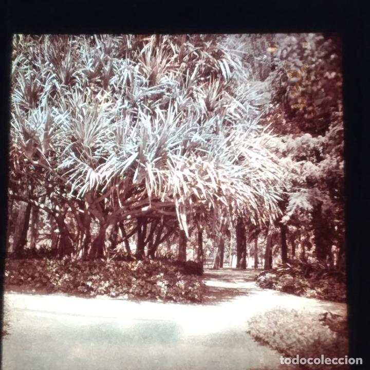 Fotografia antiga: MALAGA ANTIGUA PLACA DE LINTERNA MAGICA EN CRISTAL 9 X 10 CMTS