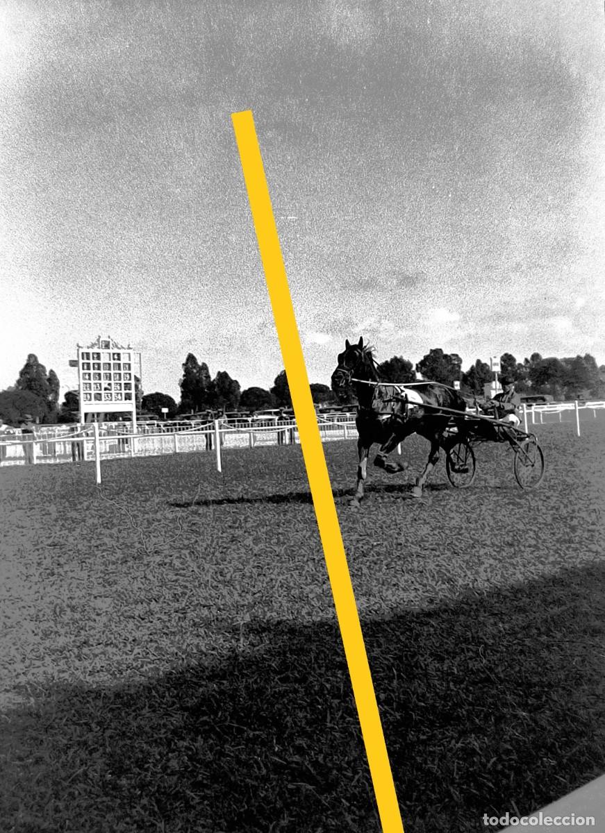 Fotograf&iacute;a antigua: Antiguo negativo de fotograf&iacute;a. Carreras de caballos. A&ntilde;os 30