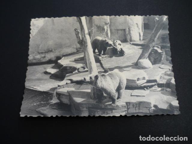 Fotografia antiga: LISBOA PORTUGAL ANTIGUA FOTOGRAFIA 7 X 10 CMTS