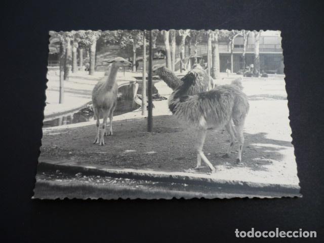 Fotograf&iacute;a antigua: LISBOA PORTUGAL ANTIGUA FOTOGRAFIA 7 X 10 CMTS