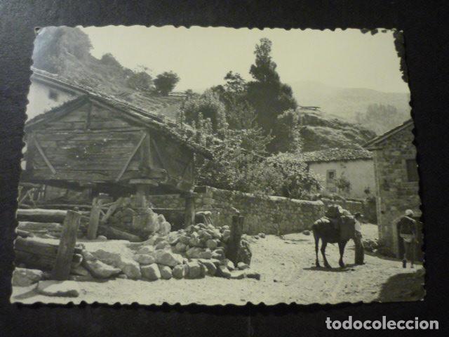 Fotografia antica: POSADA DE VALDEON LEON ANTIGUA FOTOGRAFIA 7 X 10 CMTS