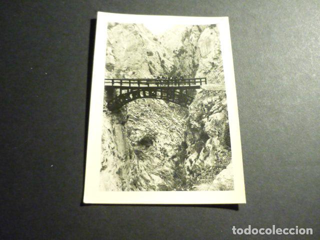 Fotografia antiga: PICOS DE EUROPA CANTABRIA ASTURIAS LEON ANTIGUA FOTOGRAFIA 7,5 X 10,5 CMTS