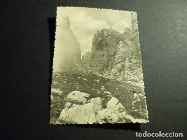 Fotografia antiga: PICOS DE EUROPA CANTABRIA ASTURIAS LEON ANTIGUA FOTOGRAFIA 7,5 X 10,5 CMTS