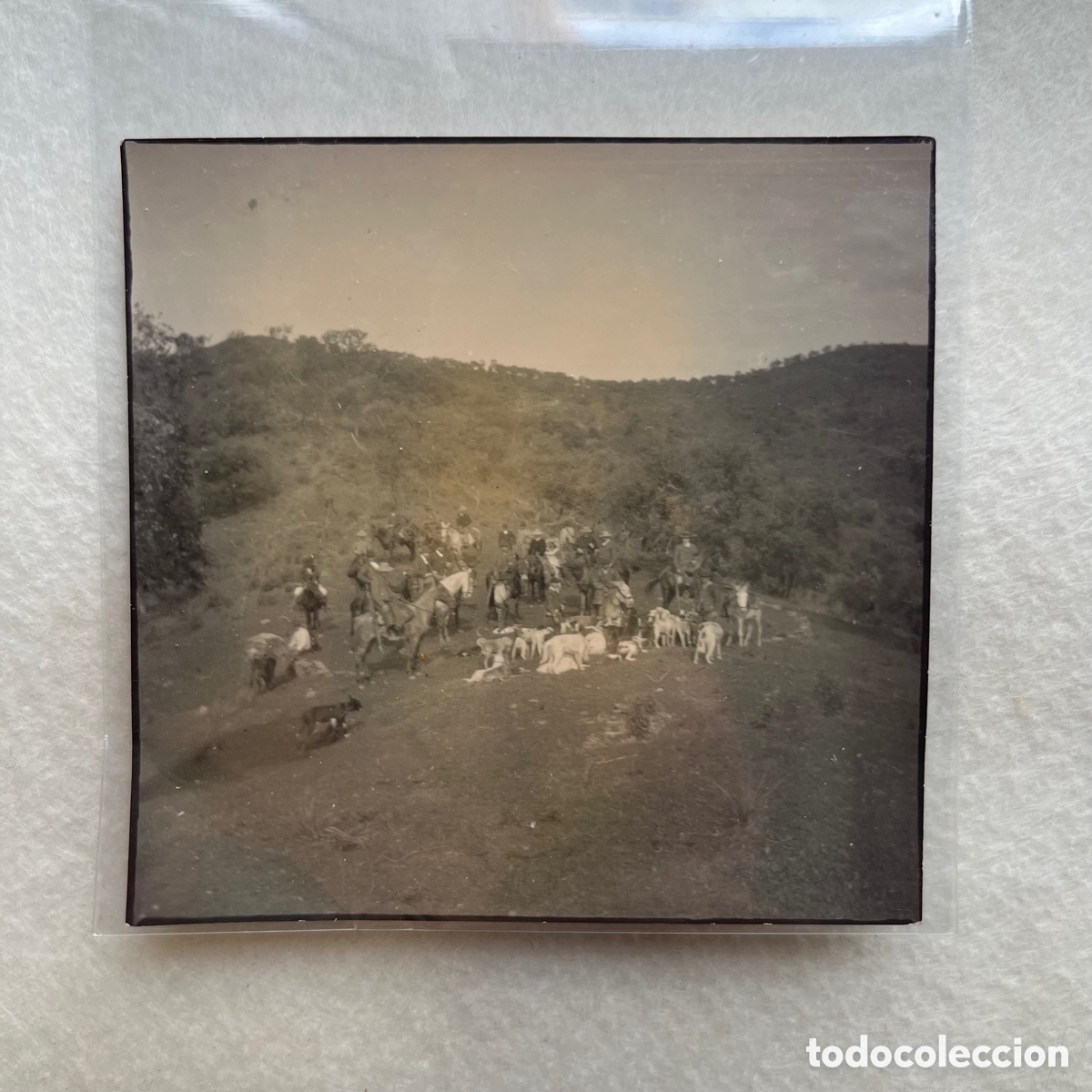 Fotograf&iacute;a antigua: ANTIGUA FOTOGRAF&Iacute;A MONTER&Iacute;A / CAZA - CAZADORES - CABALLOS / PERROS