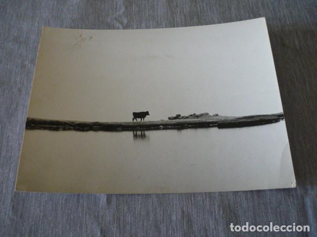 Fotografia antica: PAISAJE ANTIGUA FOTOGRAFIA 18 X 24 CMTS
