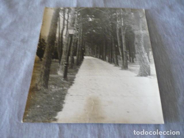 Fotografia antica: UN PARQUE ANTIGUA FOTOGRAFIA 30 X 25 CMTS