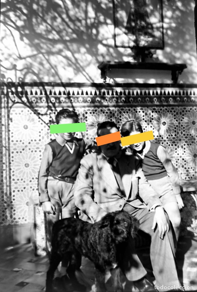 Fotografia antiga: Antiguo negativo de fotograf&iacute;a. Ni&ntilde;o con el perro. A&ntilde;os 30/40.