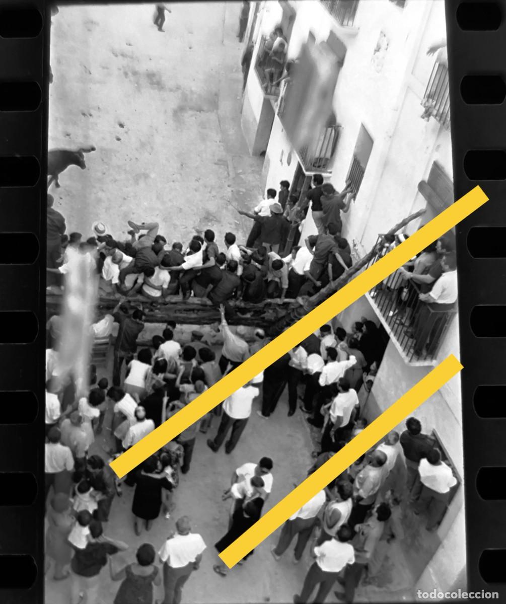 Fotografia antiga: Antiguo negativo de fotograf&iacute;a. Bous al carrer. Montanejos Castell&oacute;n. A&ntilde;o 1964.