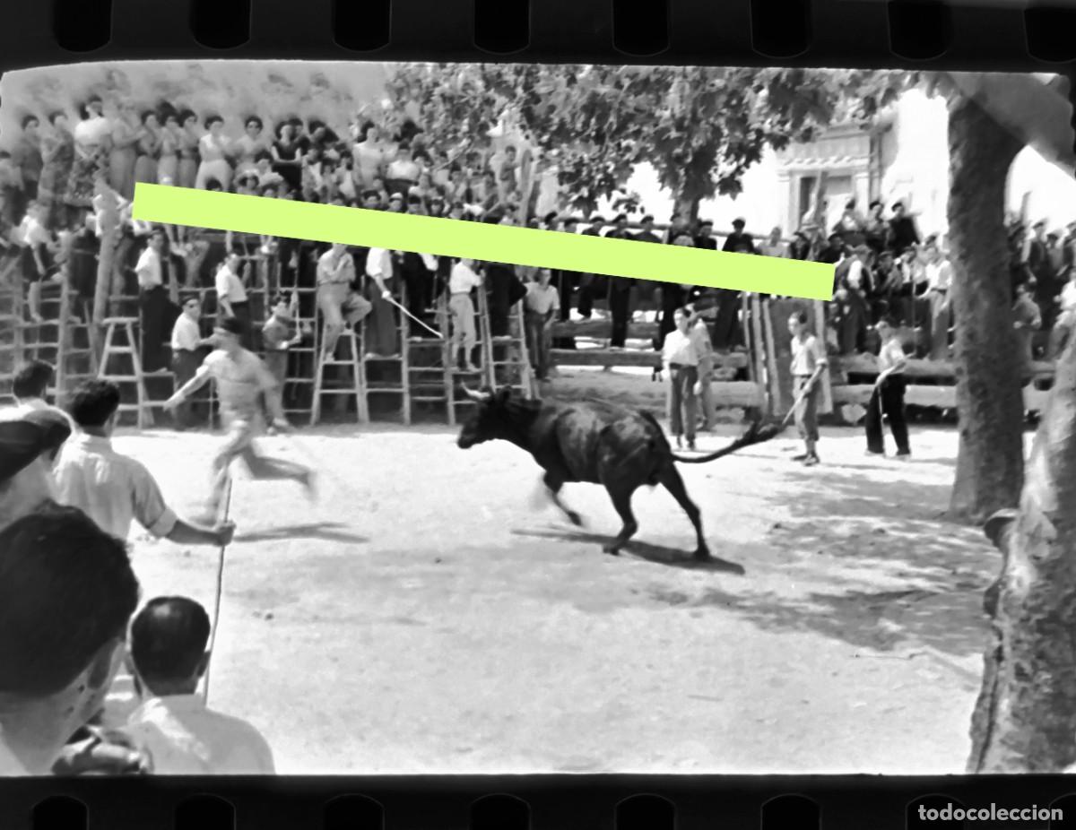 Photographie ancienne: Antiguo negativo de fotograf&iacute;a. Toros en la calle. Gaibiel. Castell&oacute;n. A&ntilde;os 50.