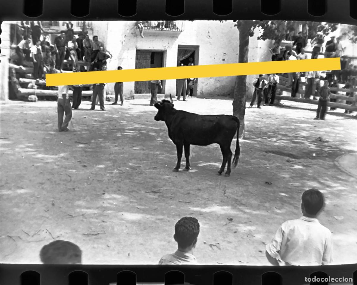 Alte Fotografie: Antiguo negativo de fotograf&iacute;a. Toros en la calle. Gaibiel. Castell&oacute;n. A&ntilde;os 50.