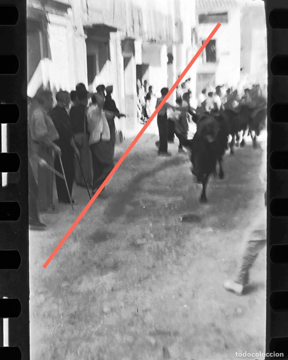 Fotografia antiga: Antiguo negativo de fotograf&iacute;a. Toros en la calle. Gaibiel. Castell&oacute;n. A&ntilde;os 50.