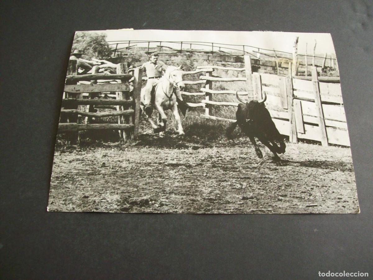 Antique Photography: JHONNY HALLYDAY CANTANTE ROCK AND ROLL FOTOGRAFIA ANTIGUA ORIGINAL A&Ntilde;OS 60 13 X 18 CMTS