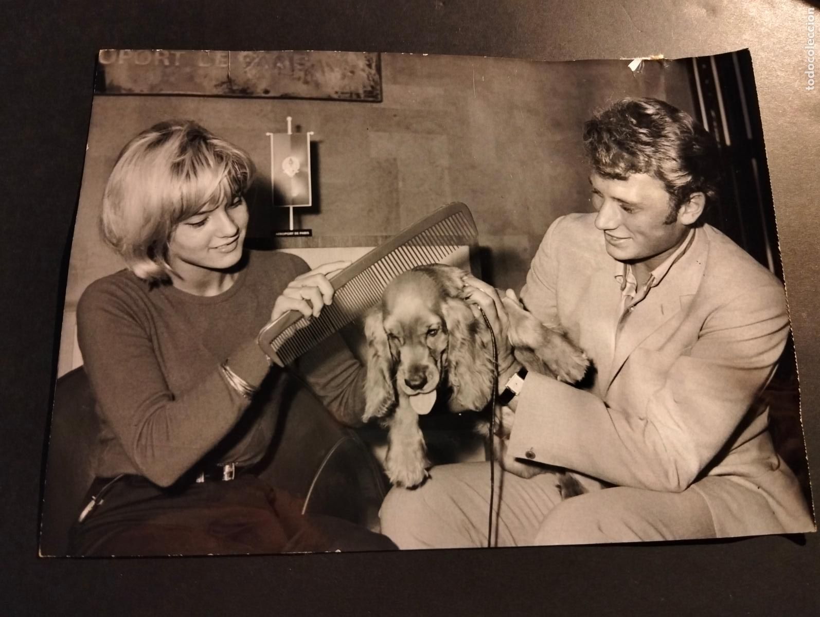 Antique Photography: JHONNY HALLYDAY CANTANTE ROCK ROLL SILVIE VARTAN FOTOGRAFIA ANTIGUA ORIGINAL A&Ntilde;OS 60 13 X 18 CMTS