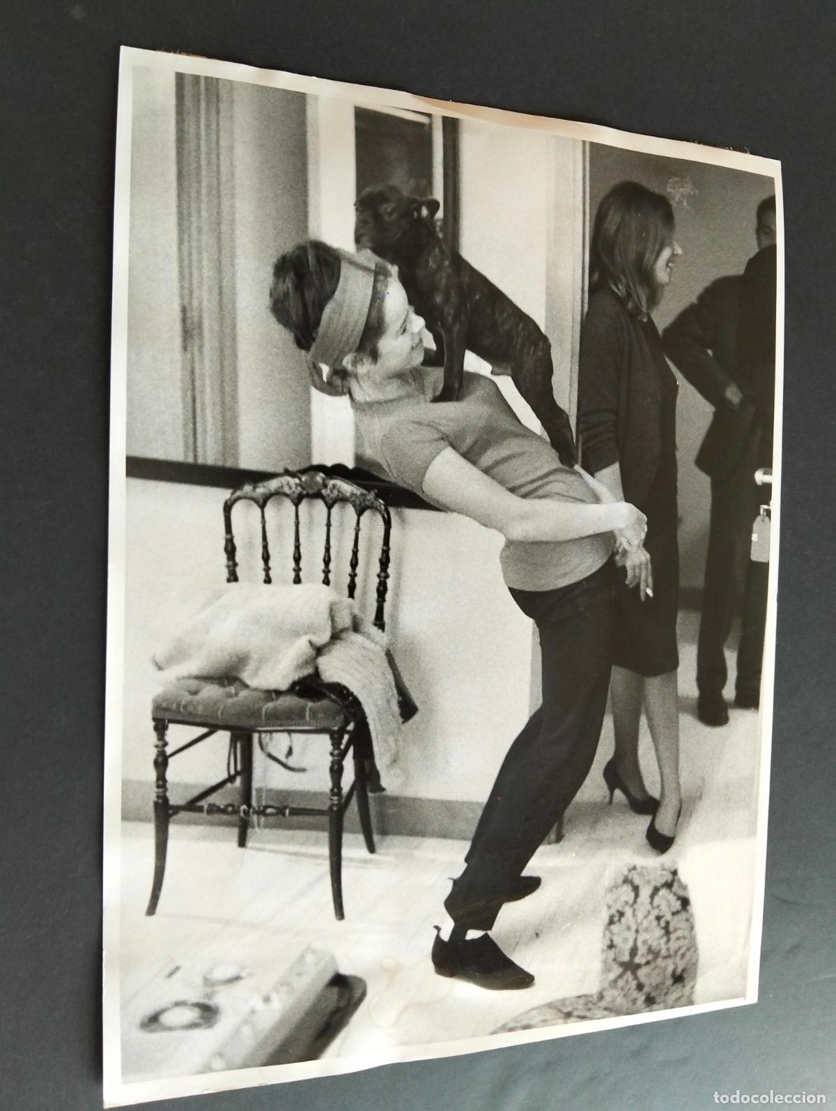 Fotograf&iacute;a antigua: GERALDINE CHAPLIN ACTRIZ FOTOGRAFIA ANTIGUA ORIGINAL A&Ntilde;OS 60 18 X 24 CM