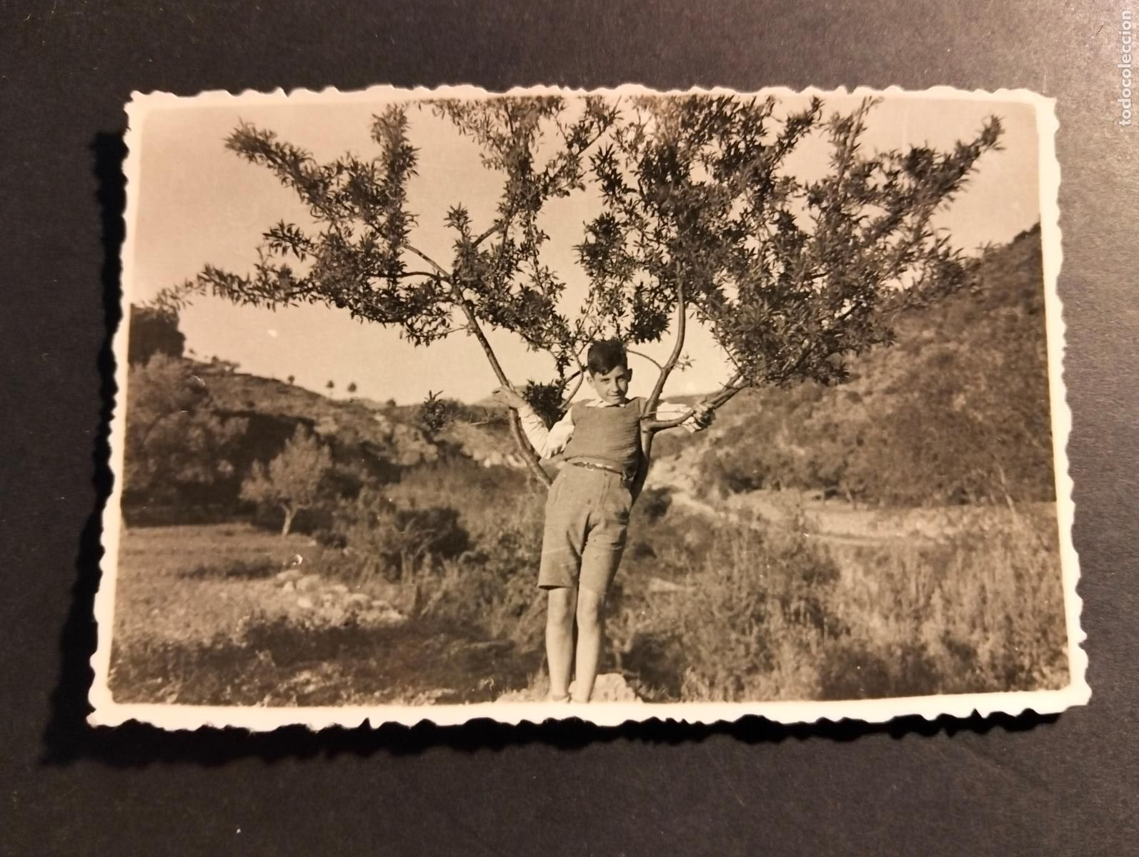 Photographie ancienne: MONTAN CASTELLON ANTIGUA FOTOGRAFIA 6 X 8,5 CM