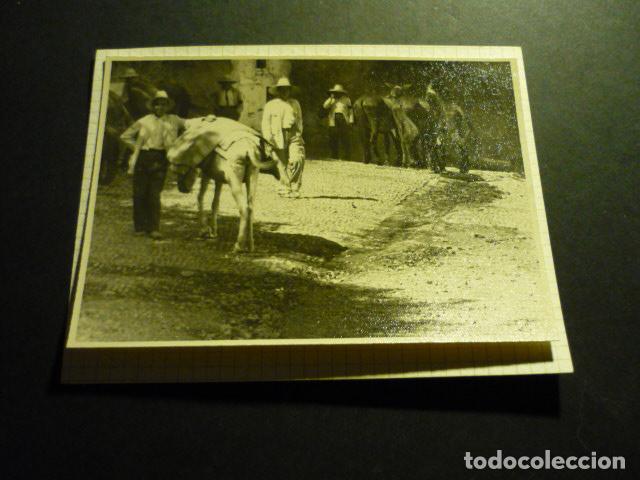 Antique Photography: MONTORO CORDOBA 1954 POR ROBERT GILLON PRESIDENTE SENADO BELGICA 9 X 11,5 CM