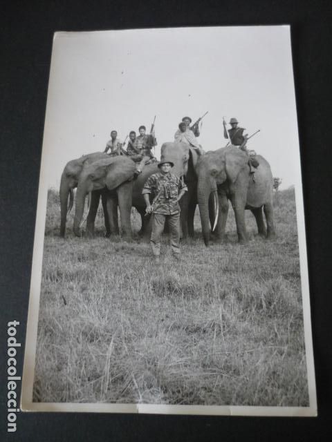 Antique Photography: CONGO DIPLOMATICO ESPA&Ntilde;OL JOSE ANTONIO VARELA EN CACERIA CON ELEFANTES ANTIGUA FOTOGRAFIA 12 X 18 CM