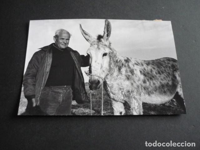 Fotografia antica: CARTAGENA MURCIA BURRA LEONA ANTIGUA FOTOGRAFIA 16 X 11 CM