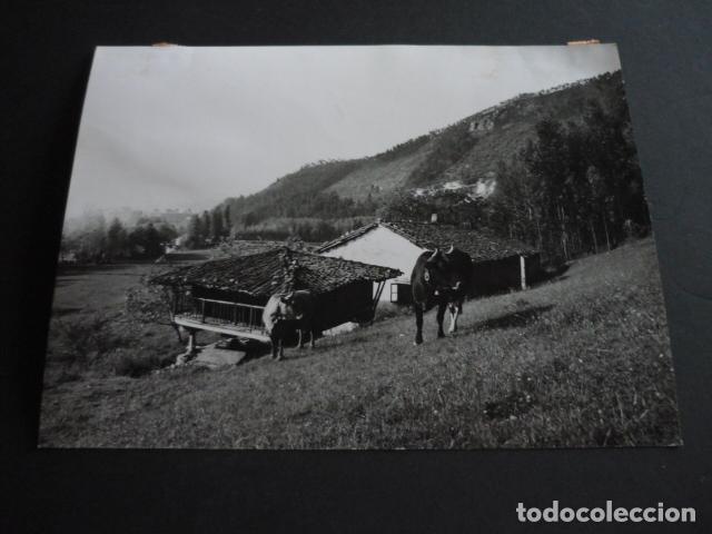 Antique Photography: ASTURIAS VISTA DE LOCALIDAD ANTIGUA FOTOGRAFIA 18 X 24 CM