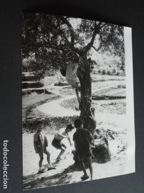 Fotografia antiga: GARCIAZ CACERES NI&Ntilde;OS QUE SALVARON A UN ANCIANO 1963 ANTIGUA FOTOGRAFIA 24 X 18 CM