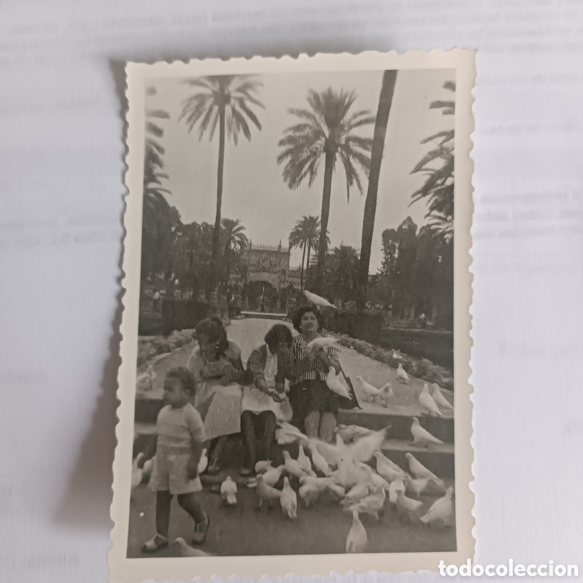 Antique Photography: ANTIGUA FOTO tama&ntilde;o 66x88 mm
