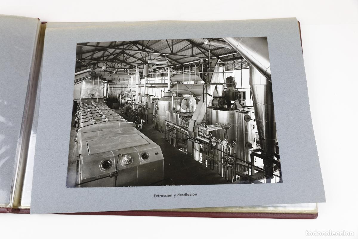 Fotografia antica: PROTEGRASA, Reus, 1967. &Aacute;lbum con 11 fotograf&iacute;as, 18x24cm y 7x10cm.