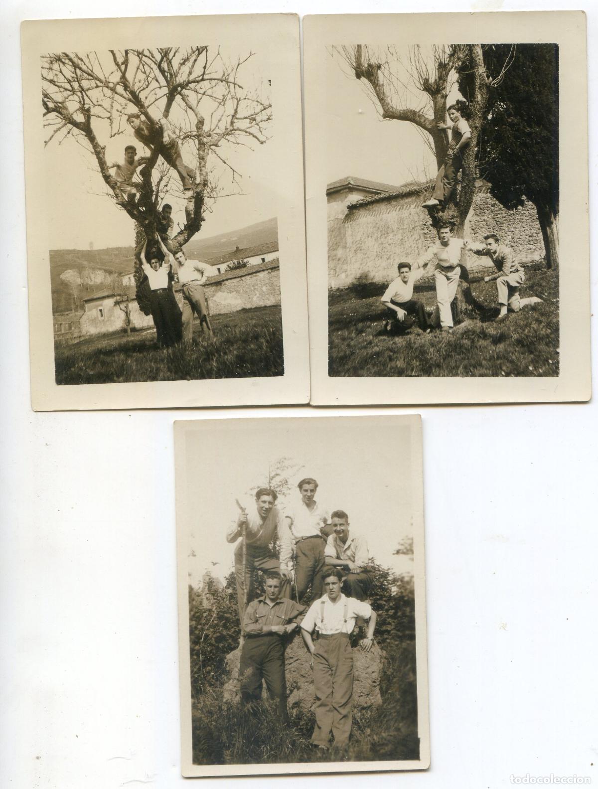 Alte Fotografie: Lote 3 fotograf&iacute;as de unos j&oacute;venes subidos a un &aacute;rbol, a&ntilde;os 30 o 40, Agfa Lupex