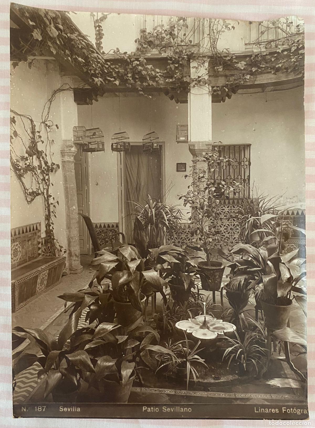 Photographie ancienne: Foto antigua de Sevilla. Patio t&iacute;pico sevillano. Fot&oacute;grafo Linares 22,5 x 17,5 cm