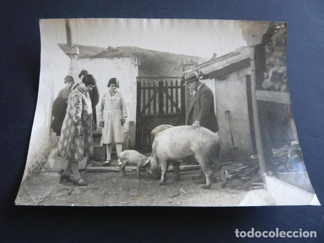 Fotografia antiga: VILLALBA DE LA SIERRA ALBACETE FAMILIA CON CERDOS ANTIGUA FOTOGRAFIA 18 X 24 CM
