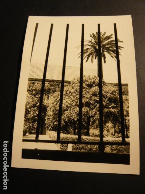 Photographie ancienne: CORDOBA ANTIGUA FOTOGRAFIA 7,5 X 10,5 CM
