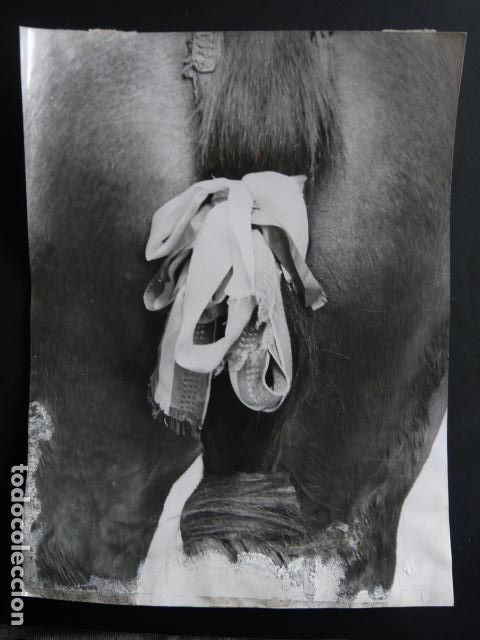 Fotograf&iacute;a antigua: ATIENZA GUADALAJARA FIESTA DE LA CABALLADA ANTIGUA FOTOGRAFIA ORIGINAL 18 X 24 CM