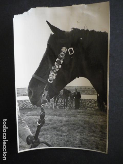 Fotografia antica: CIUDADELA MENORCA LA COLGADA FIESTA DE SAN JUAN ANTIGUA FOTOGRAFIA ORIGINAL 12 X 18 CM