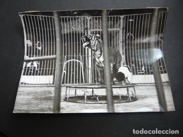 Antique Photography: PARIS CIRCO DE INVIERNO ARTISTAS ANTIGUA FOTOGRAFIA ORIGINAL 18 X 13 CM