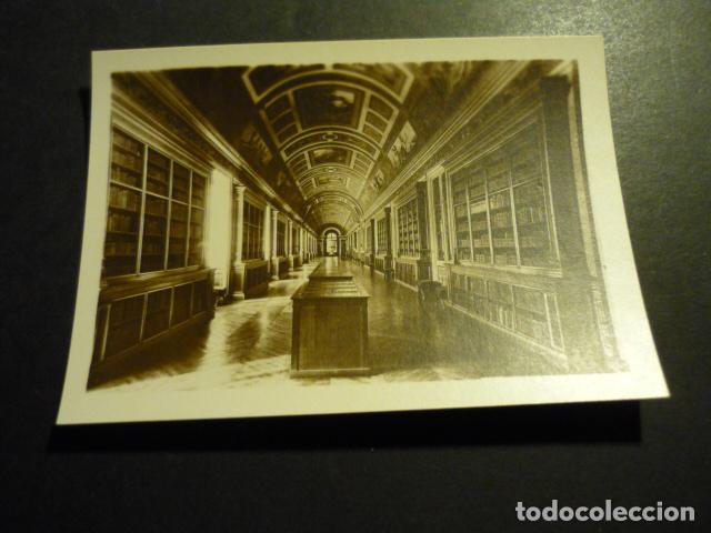 Fotografia antica: FONTAINEBLEAU FRANCIA ANTIGUA FOTOGRAFIA ORIGINAL 9 X 6,5 CM