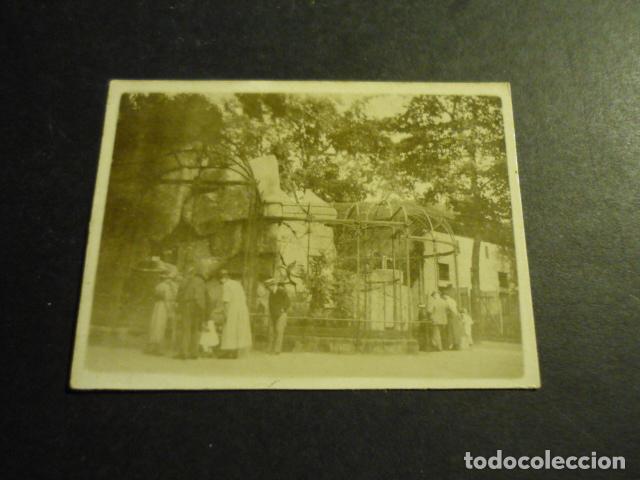 Fotografia antica: BERLIN PARQUE ZOOLOGICO ANTIGUA FOTOGRAFIA 4 X 5,5 CM