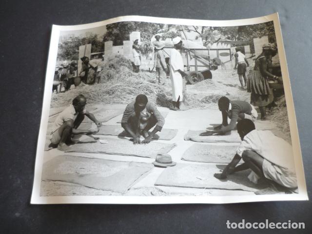 Fotografia antica: SIERRA LEONA AFRICA ANTIGUA FOTOGRAFIA ORIGINAL 18 X 24 CM