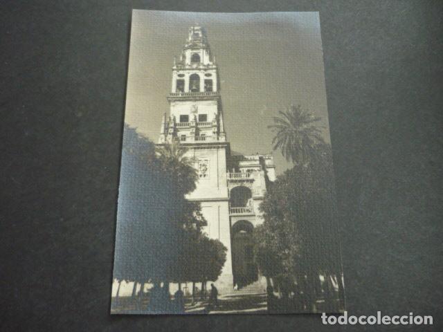 Fotografia antica: CORDOBA ANTIGUA FOTOGRAFIA 10,5 X 15,5 CM