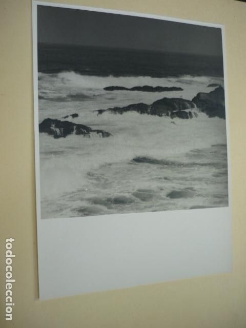 Fotografia antica: FUENTERRABIA GUIPUZCOA ANTIGUA FOTOGRAFIA 17 X 23 CM