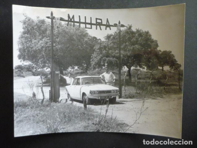 Fotografia antica: CORDOBA DOMINIQUE LAPIERRE PERIODISTA EN FINCA EL CORDOBES ANTIGUA FOTOGRAFIA ORIGINAL 18 X 24 CM