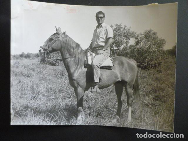 Fotografia antica: CORDOBA DOMINIQUE LAPIERRE PERIODISTA EN FINCA EL CORDOBES ANTIGUA FOTOGRAFIA ORIGINAL 18 X 24 CM