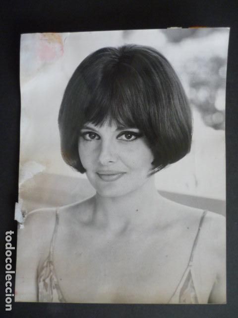 Fotografia antica: ROSSANA PODESTA ACTRIZ ITALIANA ANTIGUA FOTOGRAFIA ORIGINAL 24 X 18 CM