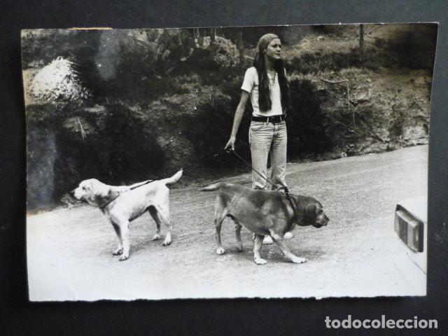 Fotograf&iacute;a antigua: MALAGA PERROS DE A. MATHILDE HEIL ANTIGUA FOTOGRAFIA 12 X 18 CM