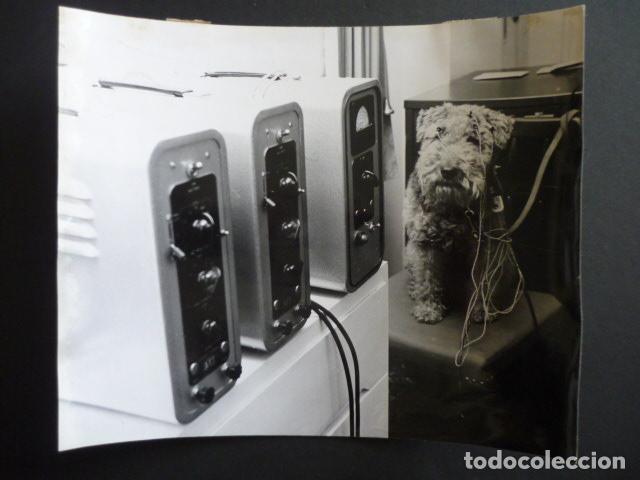 Fotograf&iacute;a antigua: PERRO EN VETERINARIO ANTIGUA FOTOGRAFIA ORIGINAL 1969 24 X 18 CM