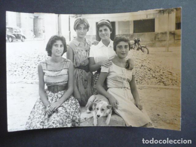 Fotografia antiga: ALICANTE PERRA LUCERA LIBRADA DE LA MUERTE POR NI&Ntilde;OS ANTIGUA FOTOGRAFIA ORIGINAL 1959 12 X 18 CM
